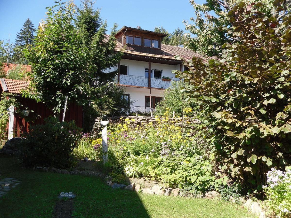 Ferienwohnung Nationalparkblick Spiegelau Kültér fotó